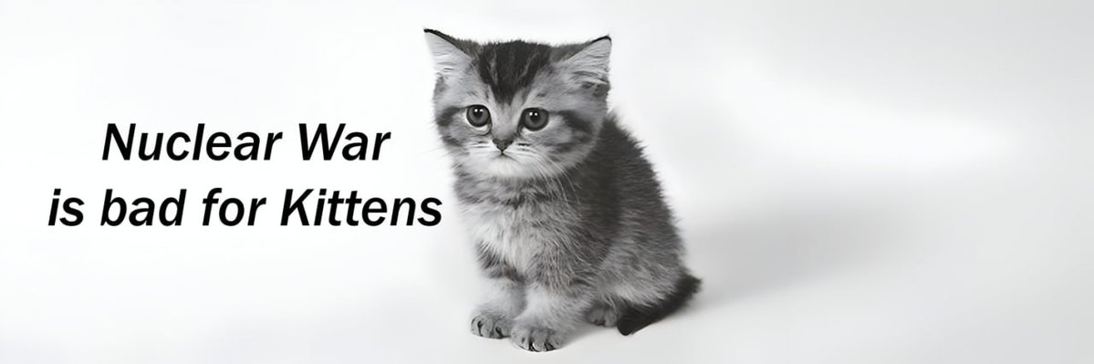 Nuclear War is bad for kittens

This simple but effective anti war meme has been the corner stone for people of all ages to get behind, it has been used across all platforms of social media for over a decade

Facebook:
facebook.com/groups/6378344…

Reddit: 
reddit.com/r/cats/comment…