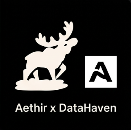 Elle 💃 tweet media