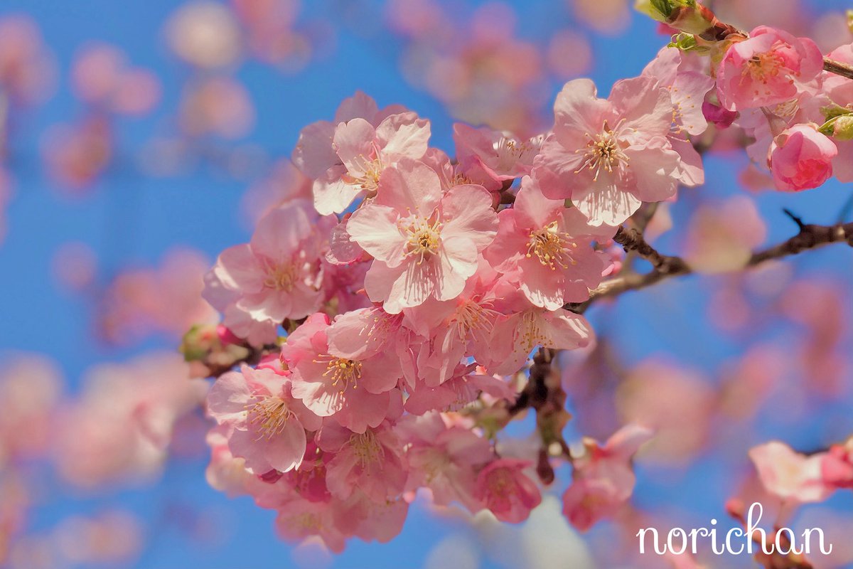 おはようございます