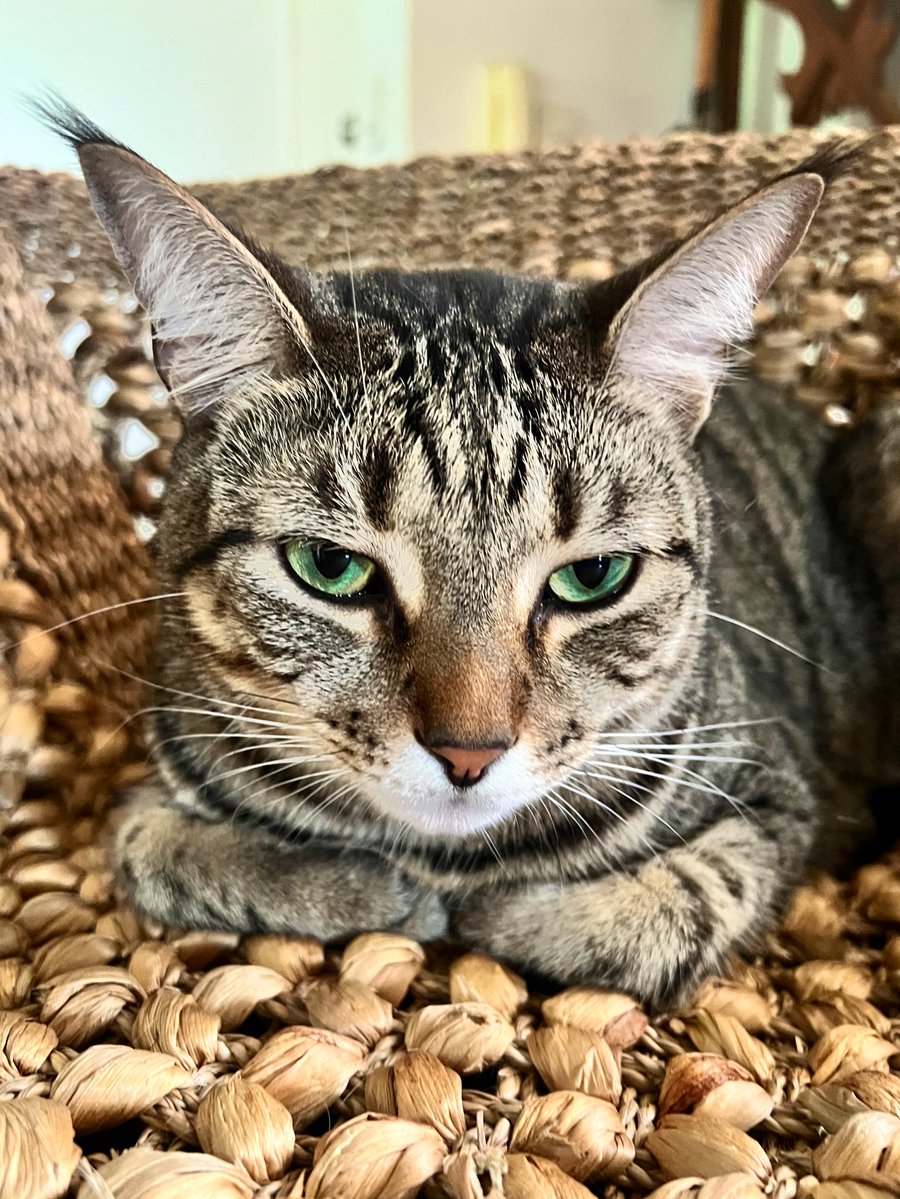 Dave Krantz tweet media