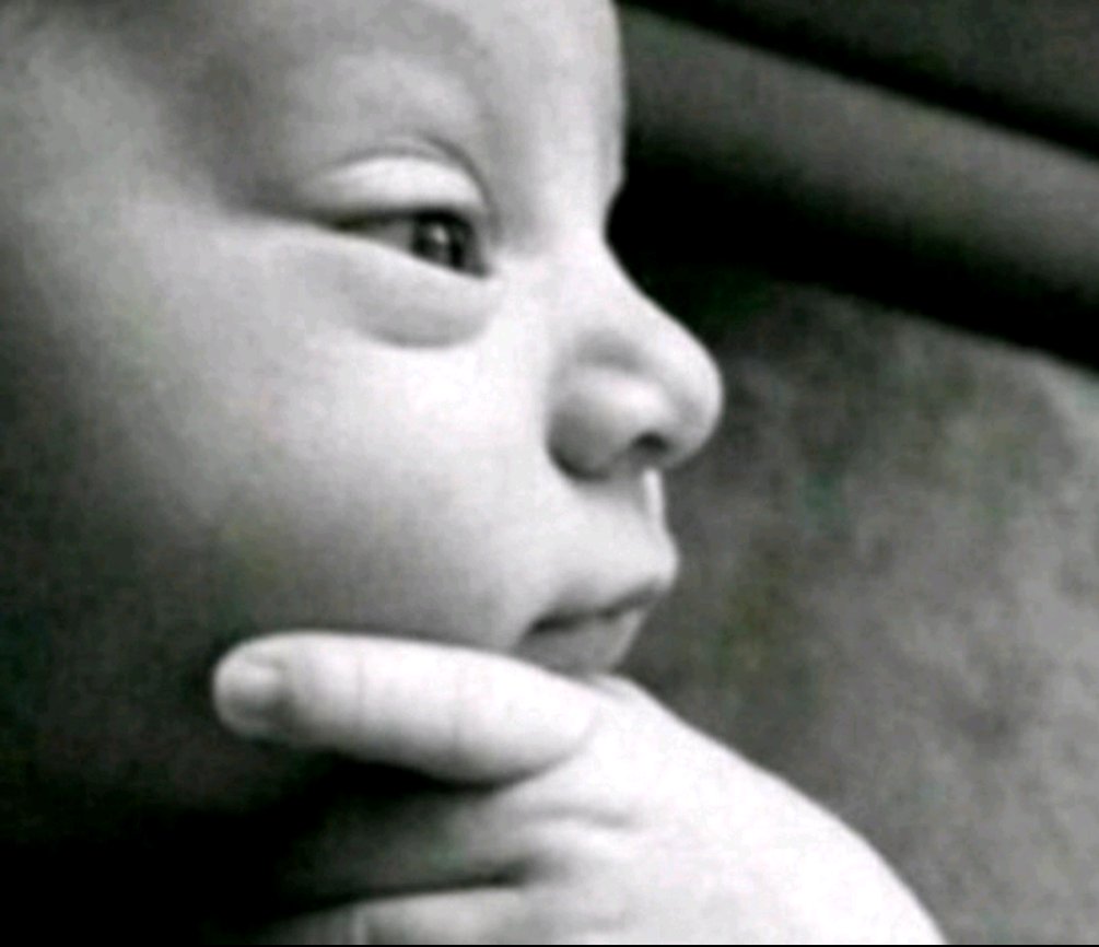 Cabex Music tweet media