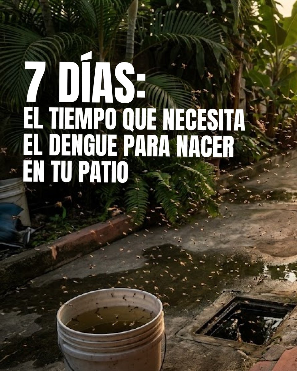 bht_cdp's tweet photo. El agua estancada es la maternidad de los mosquitos. 🦟 No bajes la guardia este invierno. En BHT eliminamos el problema en todas sus etapas: huevo, larva y adulto.

#Dengue #Zika #BHTSalud #Mosquitos #PrevencionInvierno https://t.co/AMx1on5bo4