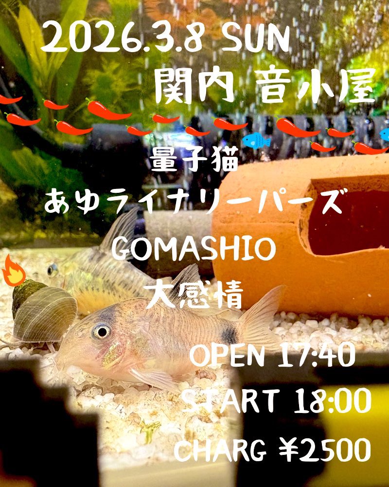 GOMASHIO tweet media