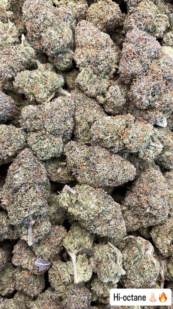 ActivePlugDice's tweet photo. TEXT {346-500-3415}
•New strains and more 
•Come shop in person
•DELIVERING TO HOUSTON AREA AND SURROUNDING AREAS 

#HoustonTxPlug https://t.co/V06swiut54