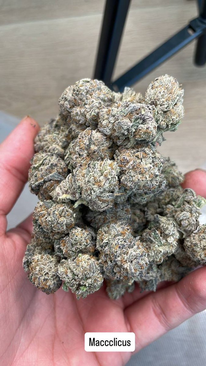 ActivePlugDice's tweet photo. TEXT {346-500-3415}
•New strains and more 
•Come shop in person
•DELIVERING TO HOUSTON AREA AND SURROUNDING AREAS 

#HoustonTxPlug https://t.co/V06swiut54