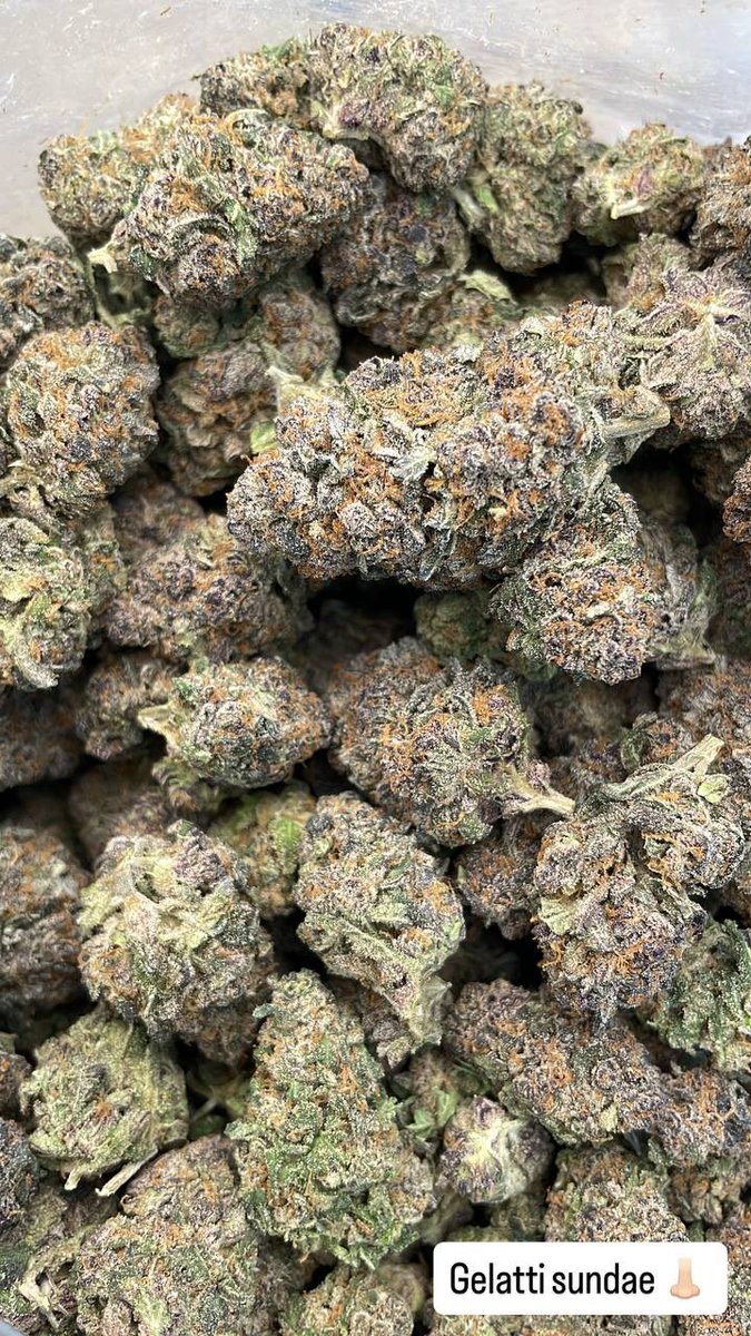 ActivePlugDice's tweet photo. TEXT {346-500-3415}
•New strains and more 
•Come shop in person
•DELIVERING TO HOUSTON AREA AND SURROUNDING AREAS 

#HoustonTxPlug https://t.co/V06swiut54