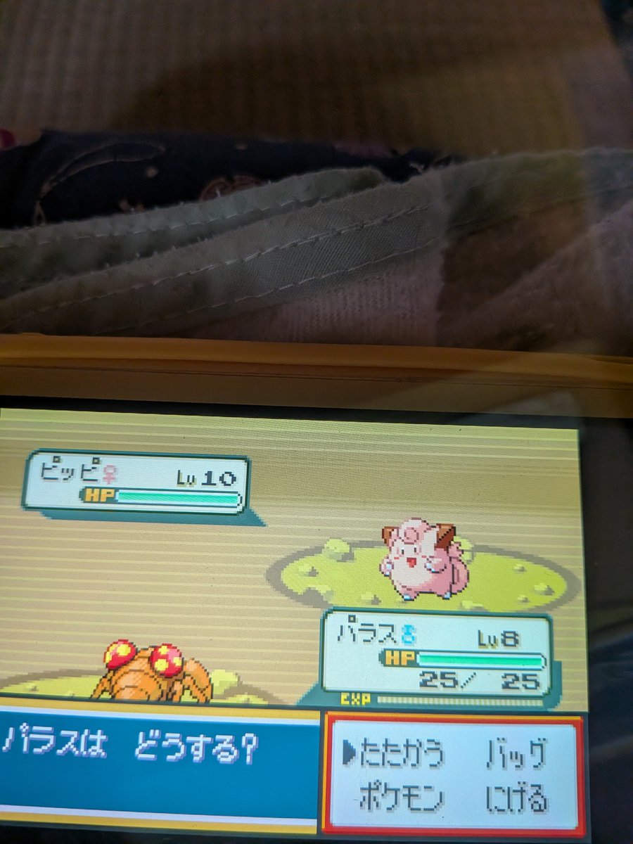 ピッピ出たぴっぴさん！！！！ ぴっぴ🐥さーーーーん！！！！