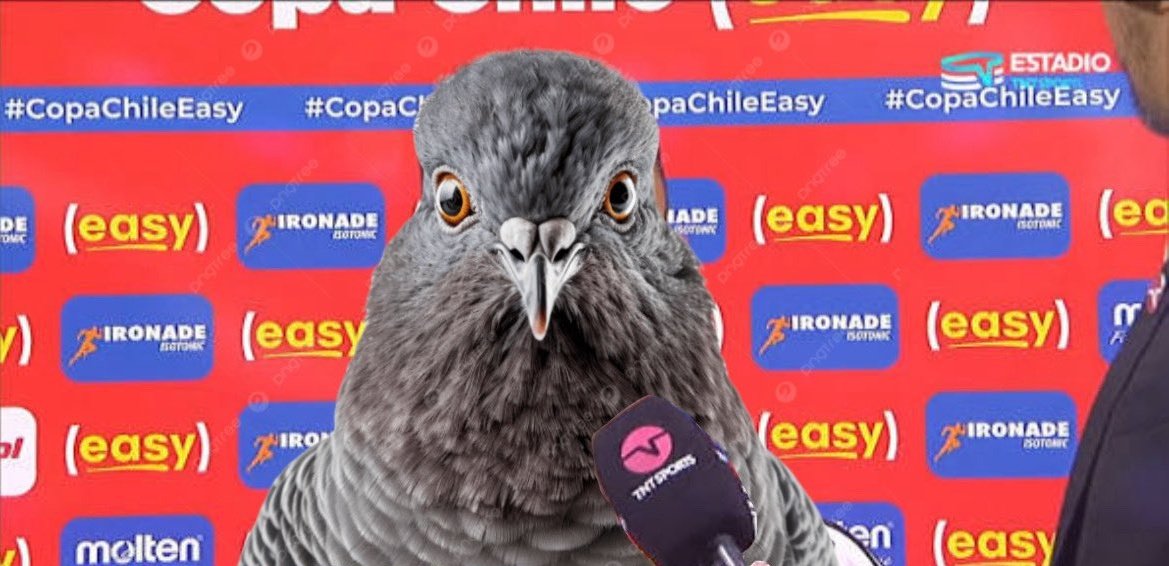 cristobaltag's tweet photo. La figura Experto Easy del partido.
#SuperClasico199 
#ColoColo
Estadio Monumental https://t.co/QcvR8C0MDb