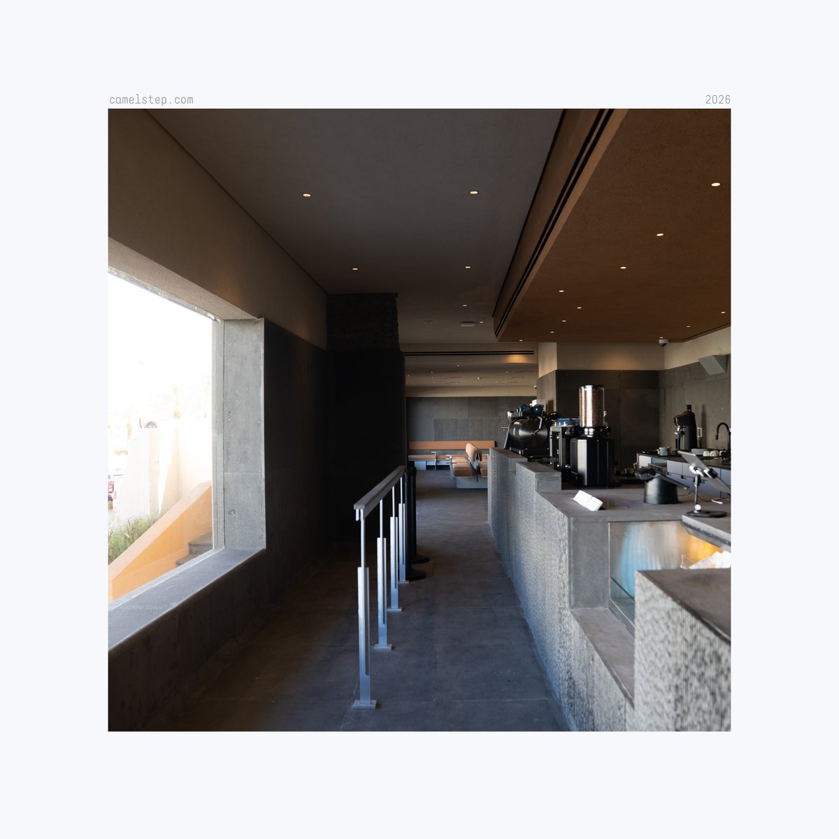 خطوة جمل tweet media