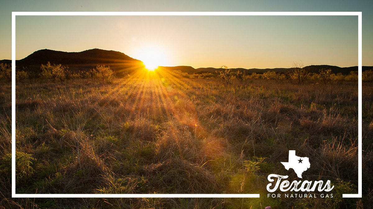 Texans for Natural Gas tweet media