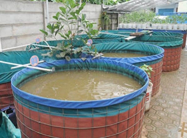 <a href="/zakiberkata/">Georitmus 🇮🇩</a> Reaktor reaktor nuklir Karya Anak Bangsa dari bahan jerami pun sedang dikerjakan untuk alternatif pengganti uranium