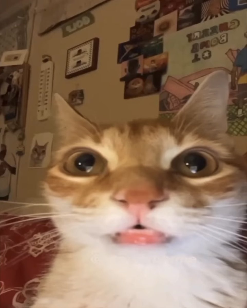 IamDORKeegan tweet media