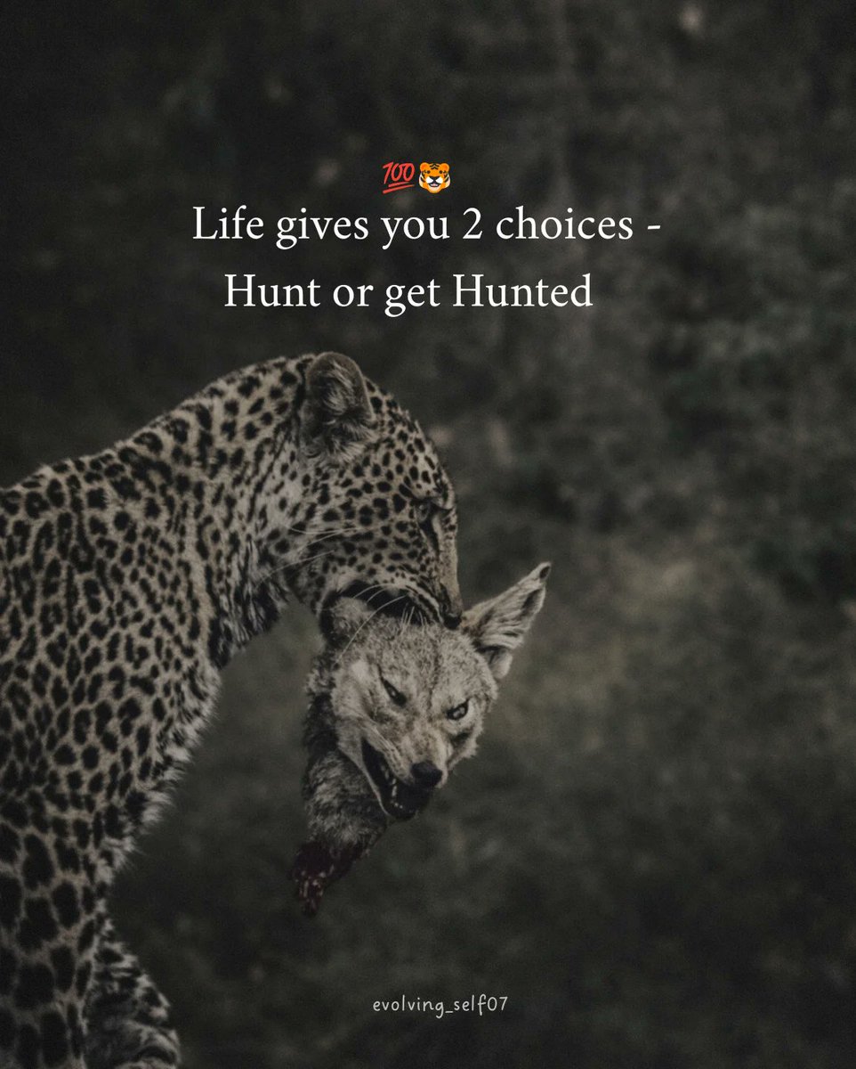 Mind Essentials (@mind_essentials) on Twitter photo 