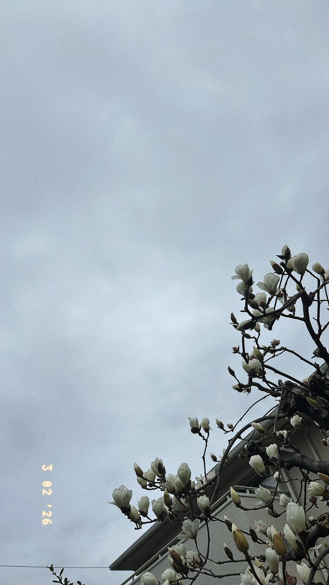 おはよございます！
今日から新しいピラティスの資格の勉強します📚✨
先生たちが明るくて本当に楽しみ😊
花粉に負けず集中して学んできます！！