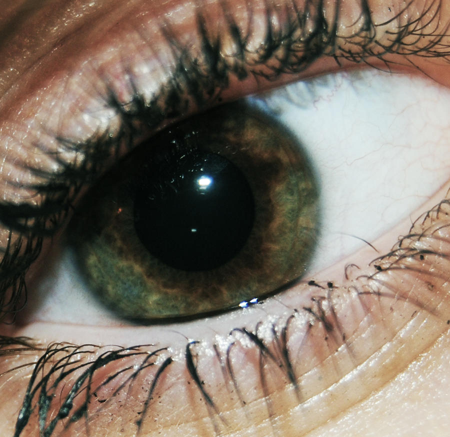 Ana Gabriela tweet media