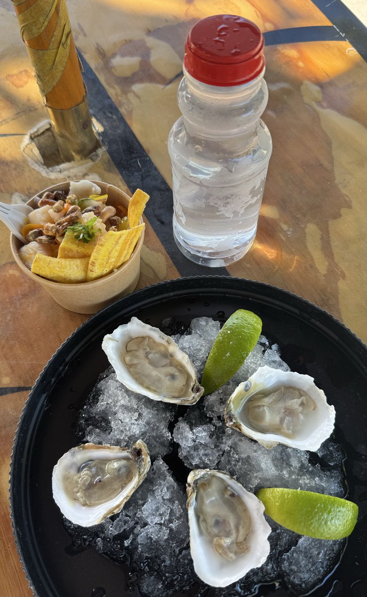 OCasanova8's tweet photo. Salud 🥥!  ☀️🐠🦪🖤 https://t.co/U4CsbypeQQ