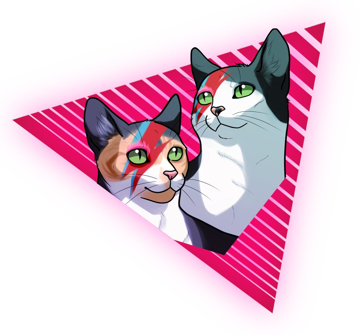 Caitlin | chickdrummer88 🌈🌴🤙 tweet media