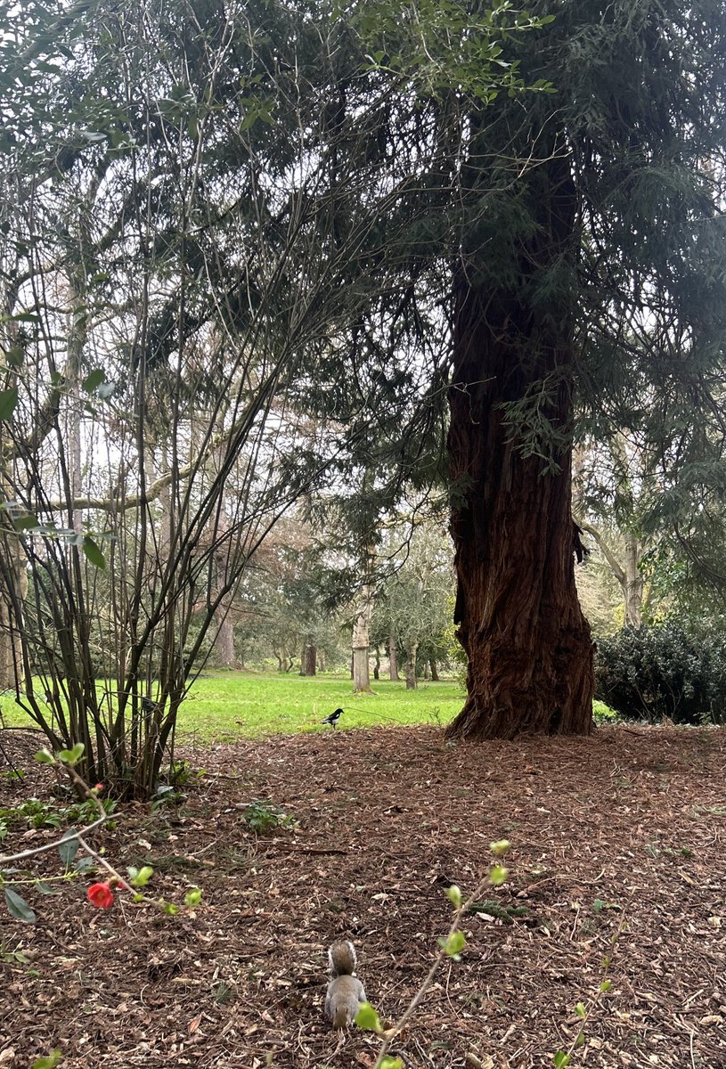 P 🇮🇪 #StandWithUkraine tweet media