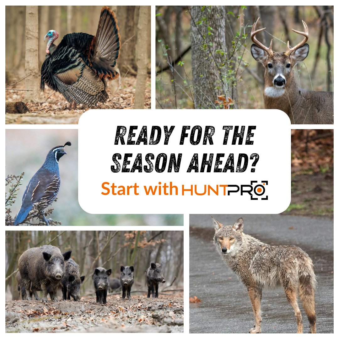 HuntProAI tweet media