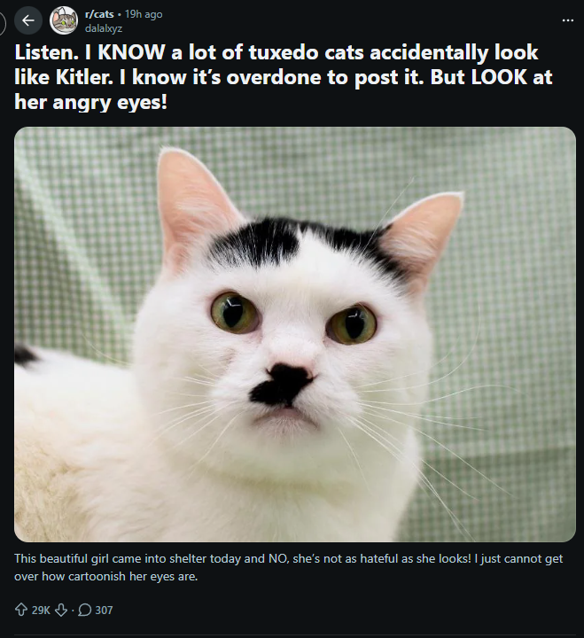 jxbdevs's tweet photo. Adolf Kitler is here to make sure a nuclear war doesn't happen

https://t.co/t9mjueVkHY https://t.co/rpy55ba61c