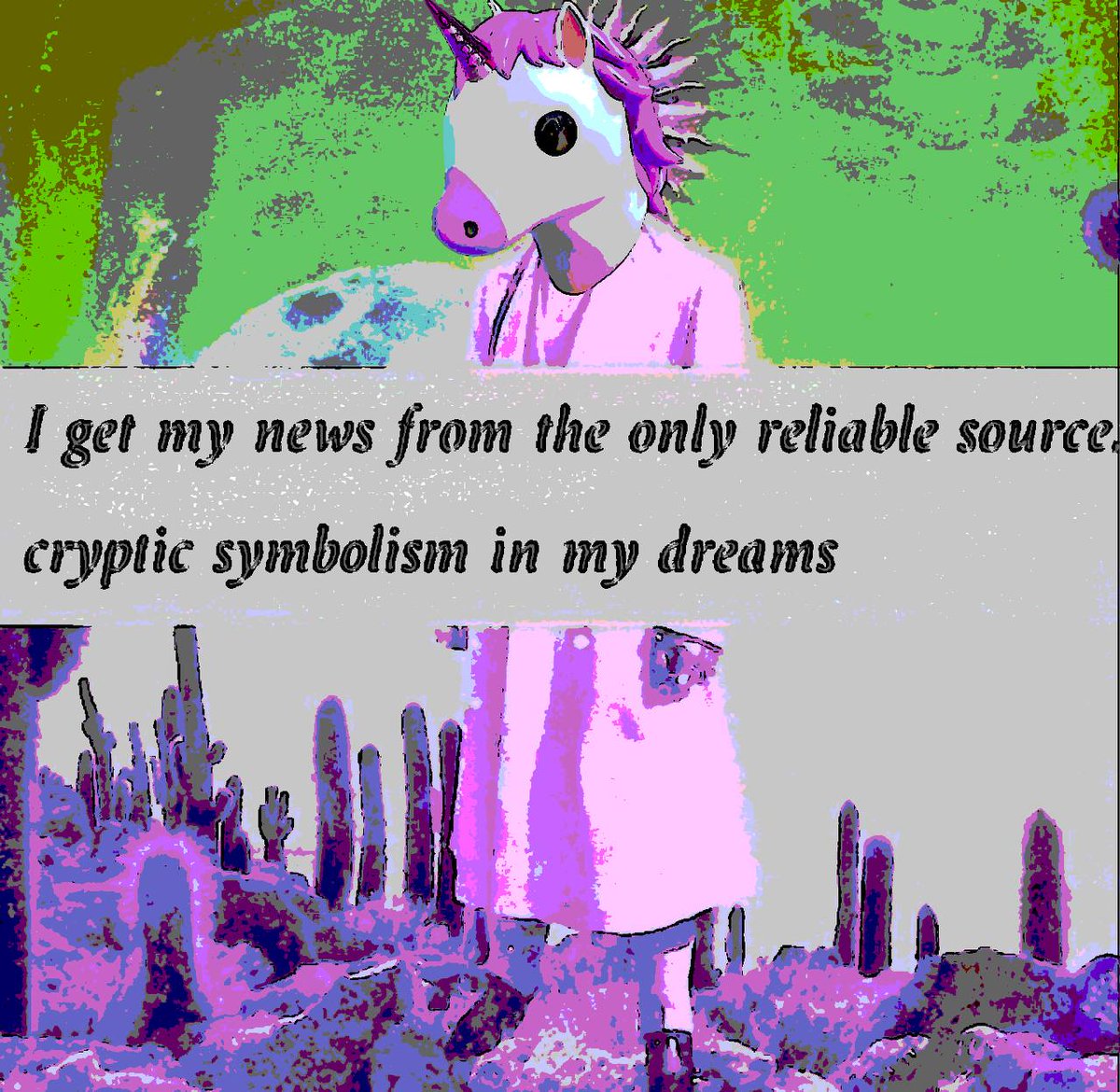 Unicorn 🦄 tweet media