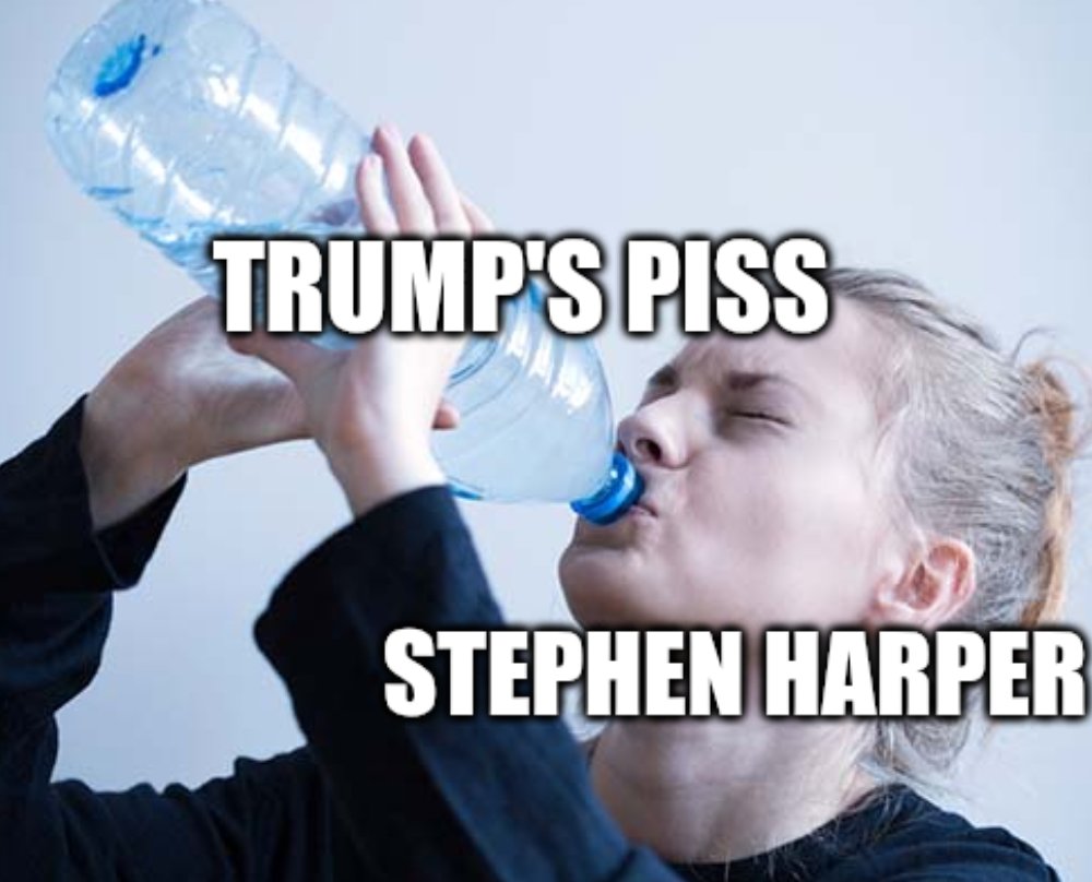 The Serfs (youtube.com/theserftimes) tweet media