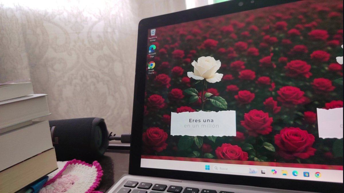 Flor M. García tweet media