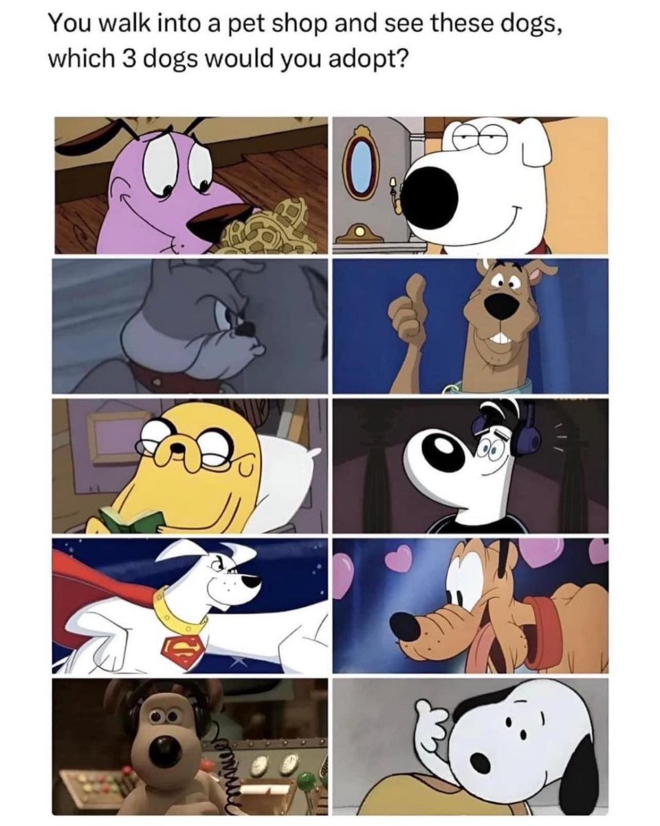 conquertheno's tweet photo. Which three dogs are you adopting? https://t.co/sxfZZkQH75