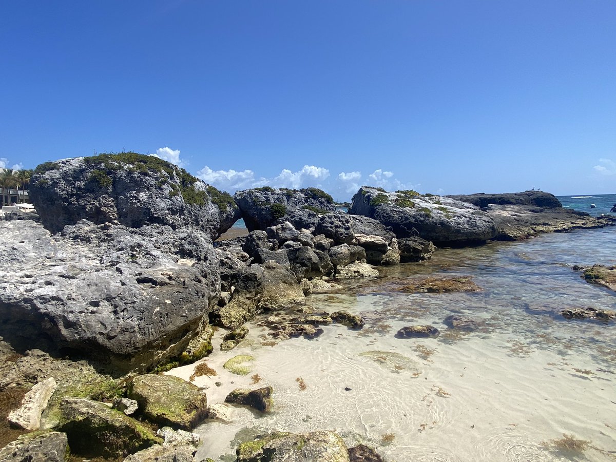 Mark Bramwell tweet media