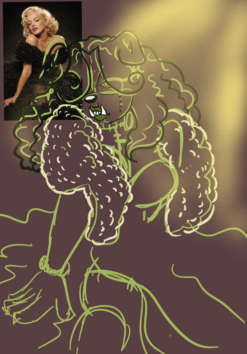 ✨indigoop_entity✨ tweet media