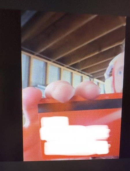 QueenMichelle4u's tweet photo. In our very first meeting, Bryce was already eager to give Me his all, and he gave up a lot.
By our second meeting, his mind and his computer were completely surrendered to Me.
As well as all his private information and cards for my use :)

femdom findom teamviewer techdom bm https://t.co/LLUvTpYzjv