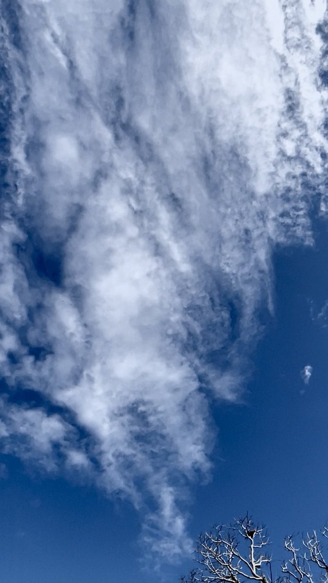 USABeachBlonde's tweet image. HEAVENLY HOST OVER MY HOUSE WITH “52” ON IT TWICE AND “33”

ISAIAH 52 AWAKE!AWAKE! TAKE THE CHAINS OFF YOUR NECK AND COME OUT OF CAPTIVITY! ⛓️‍💥 THE EYES &amp;amp; EARS OF THE SPIRITUALLY BLIND &amp;amp; DEAF ARE OPENING! 

PSALM 33 GIVE GOD ALMIGHTY AWE &amp;amp; REVERENCE! HE SEES AND HEARS ALL! HE