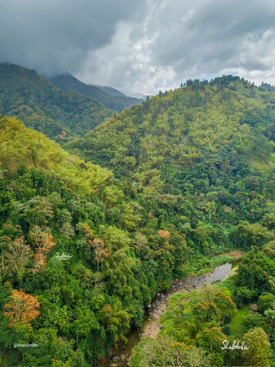 sheldonlev's tweet image. Castleton, Saint Mary #Jamaica