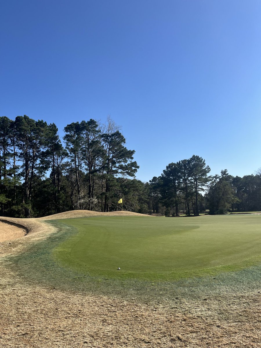 SungjaeBurner's tweet image. Pine Dunes Resort. 

Texas #1 Public Golf Course. Greens are in great condition. Back 9 is peak. Tough course that tests you off the tee.