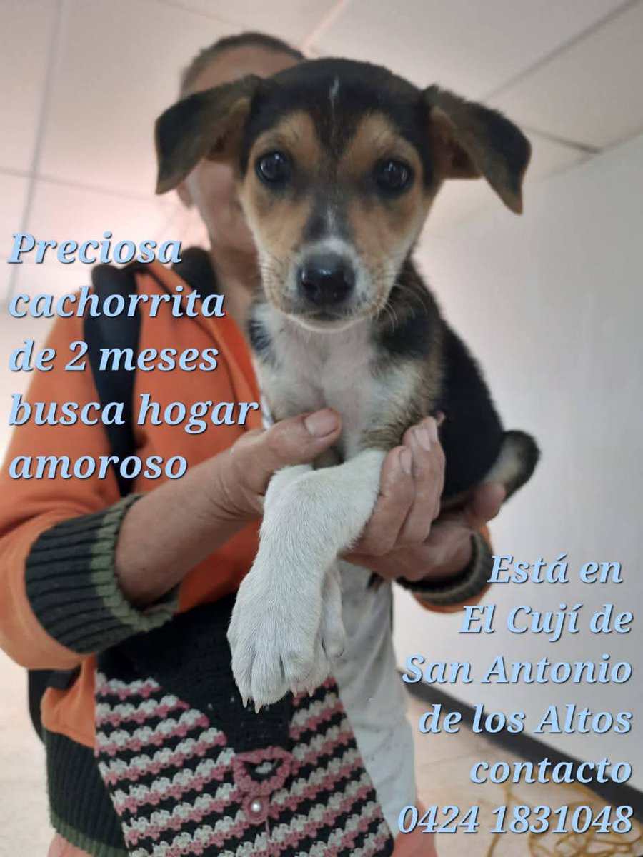 Busca una familia que la quiera por siempre