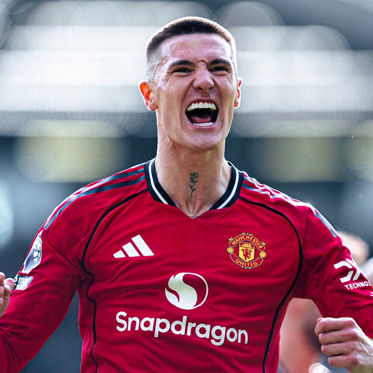 (fan) Frank 🧠🇾🇪 tweet media