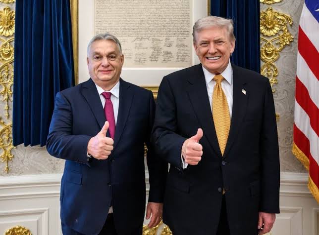 sting🇭🇺 tweet media