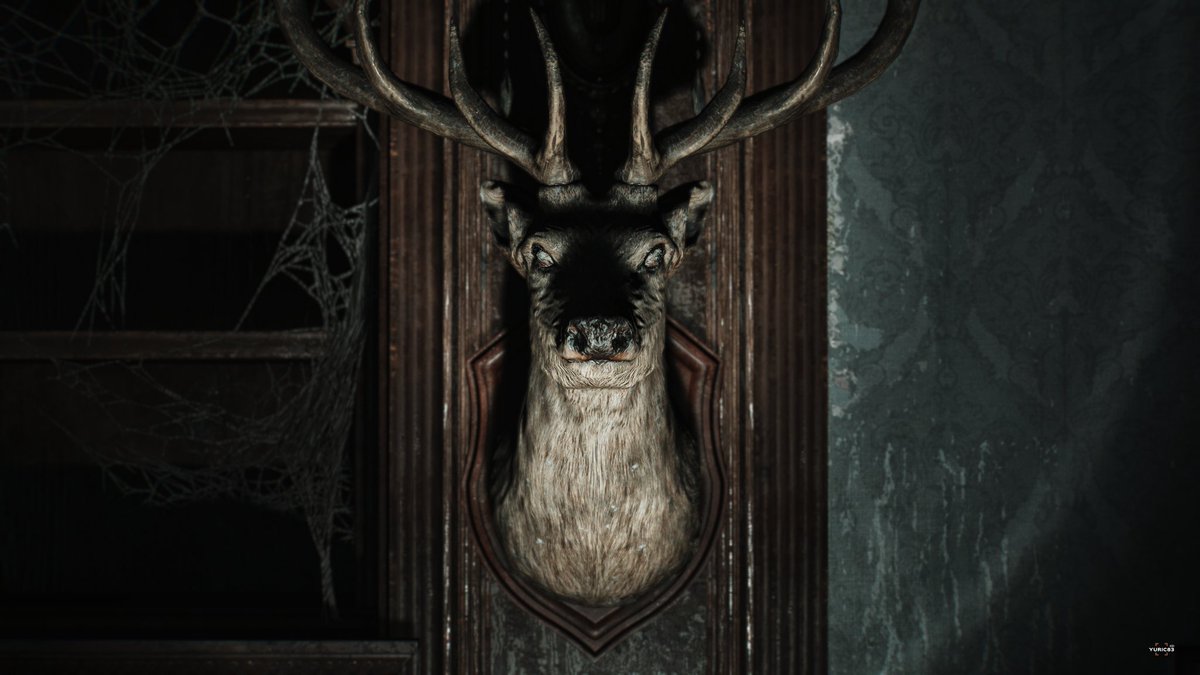 Paolo Mantoan tweet media