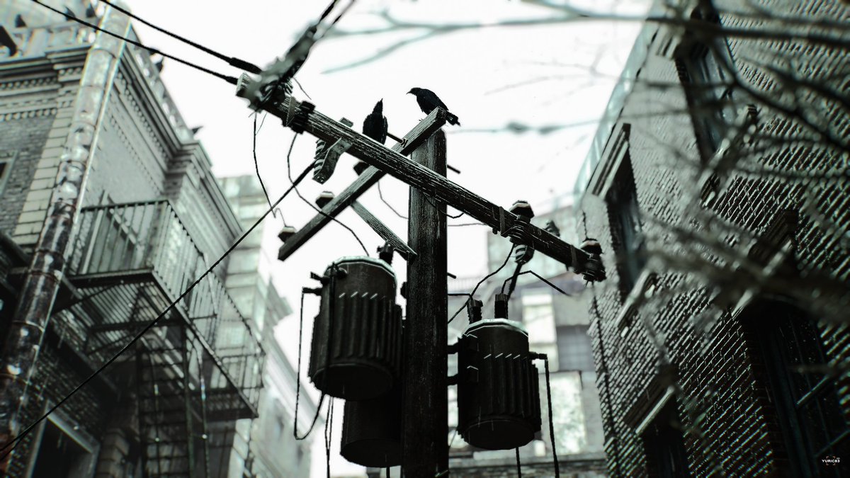 Paolo Mantoan tweet media