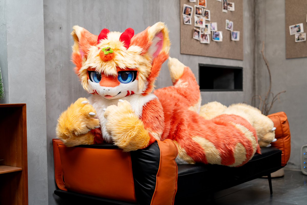 毛绒绒的逸龙 tweet media