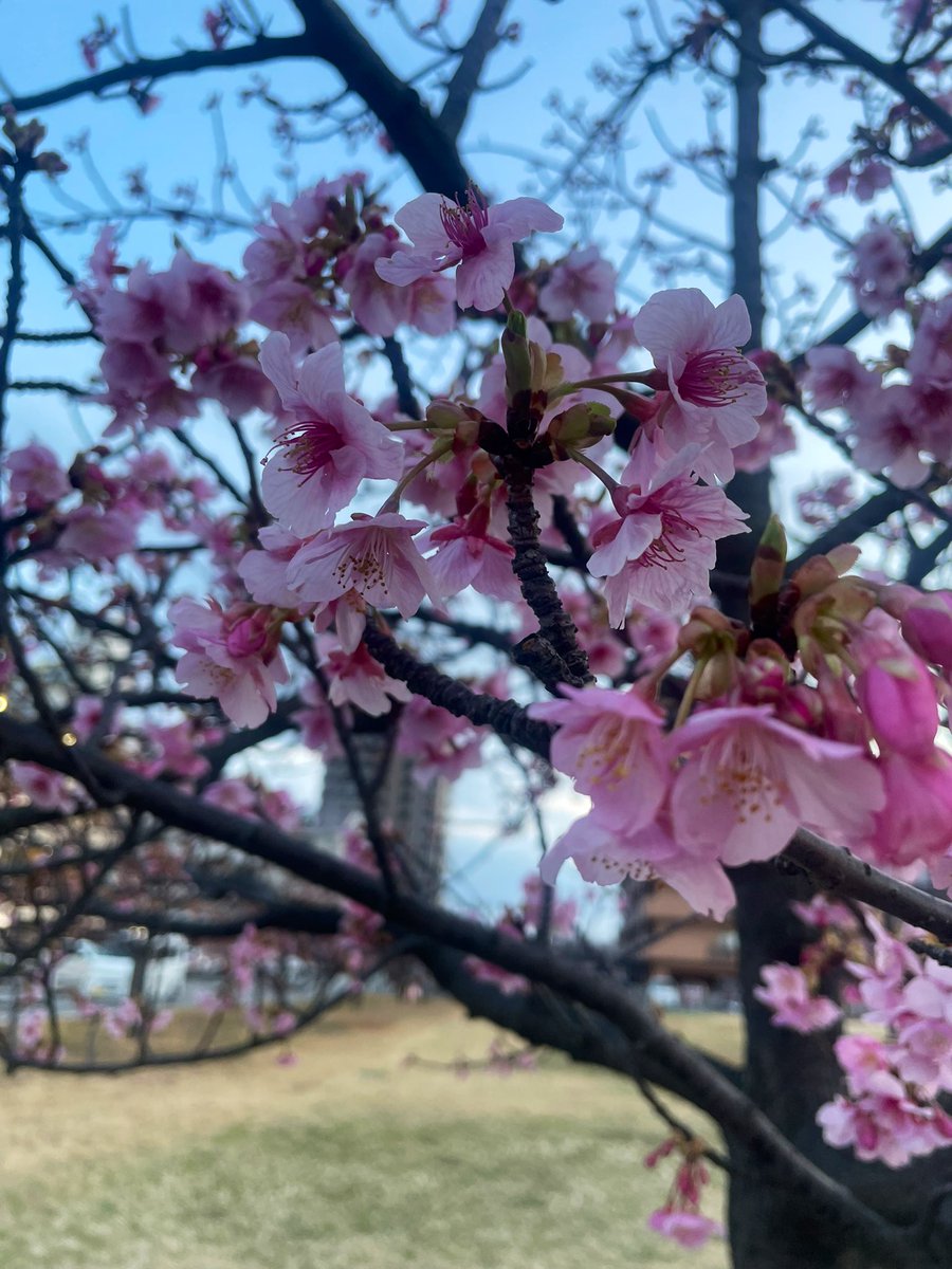 るう🇨🇦 tweet media