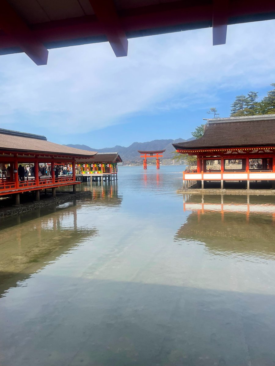 るう🇨🇦 tweet media