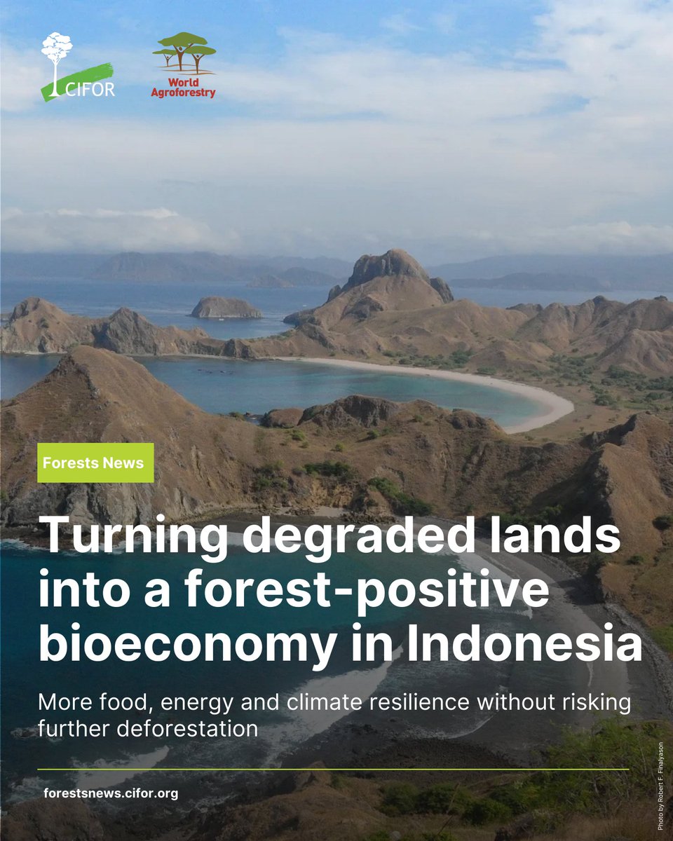 CIFOR-ICRAF tweet media