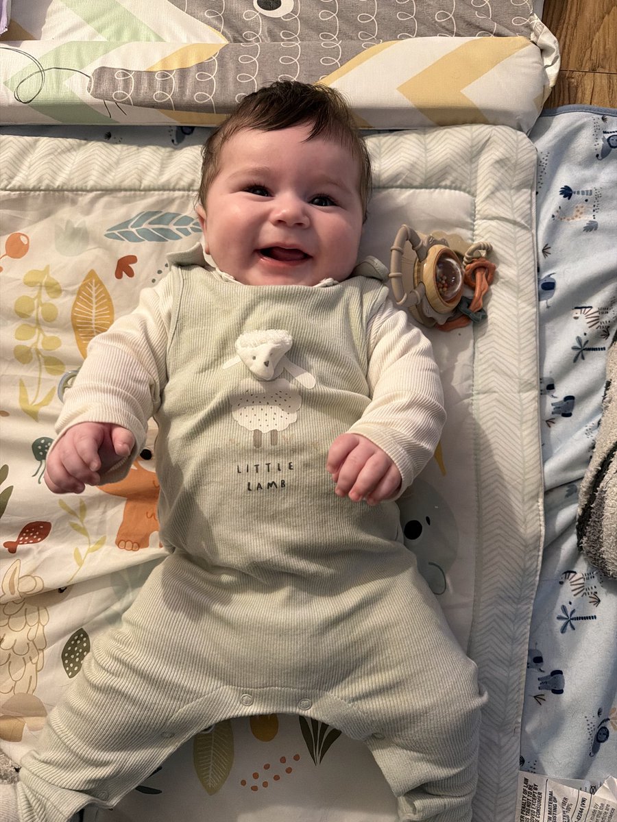 sydth3sloth's tweet photo. 5 months old today, where has my little baby gone 🥺🩵😩 https://t.co/UhxeN8xnqJ