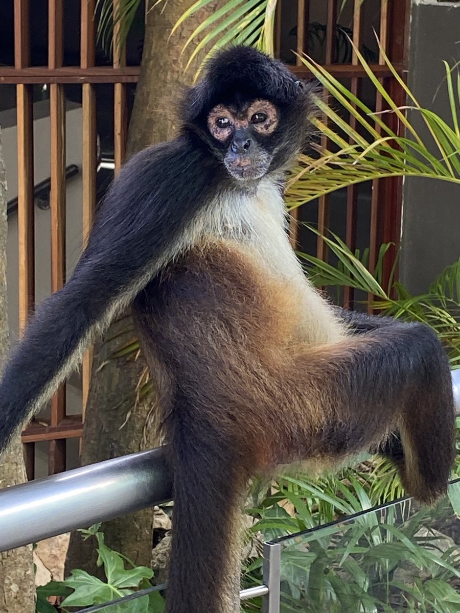 Mark Bramwell tweet media