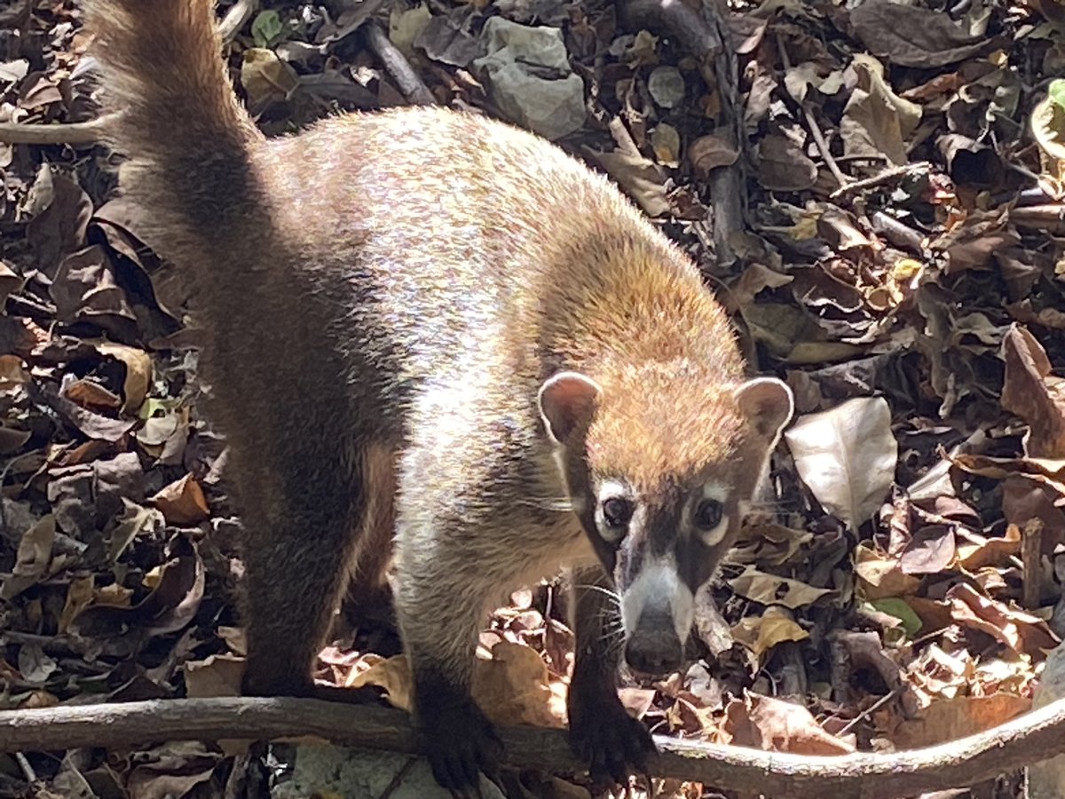 Mark Bramwell tweet media