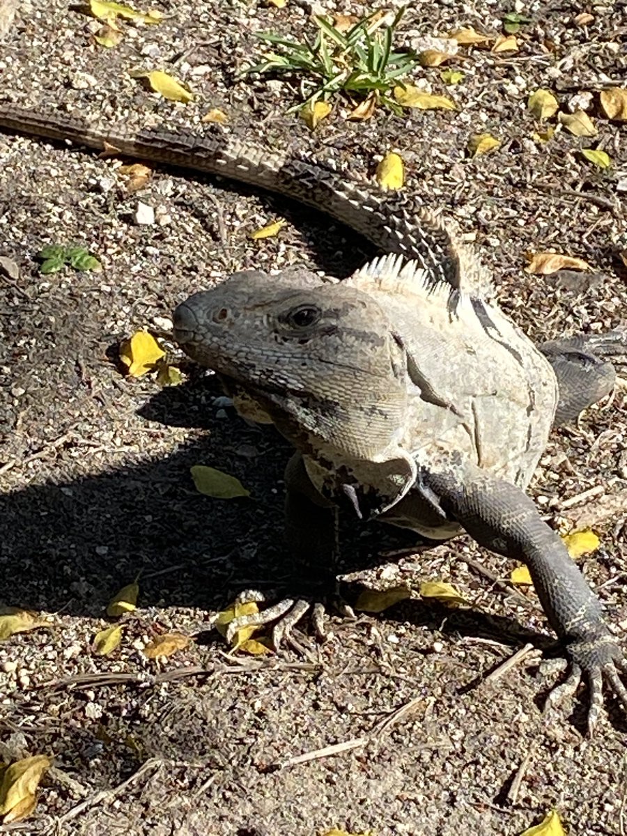 Mark Bramwell tweet media