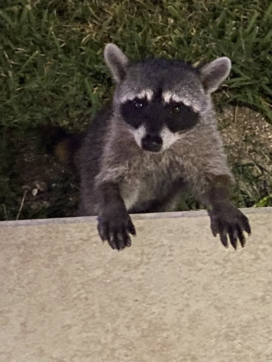 Mark Bramwell tweet media