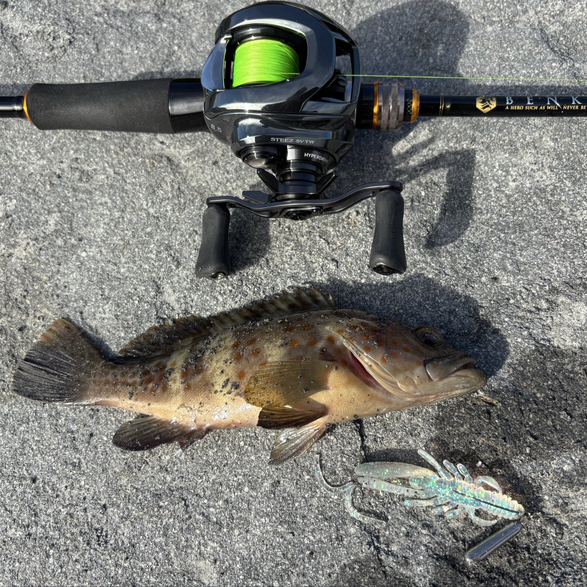 グルーパー #Philippine #Manila #fishing #cavite #ternate