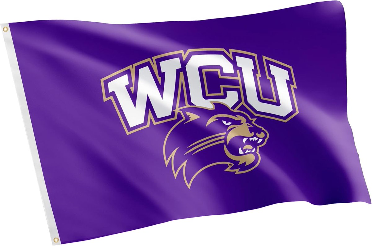 Western Carolina Baseball tweet media